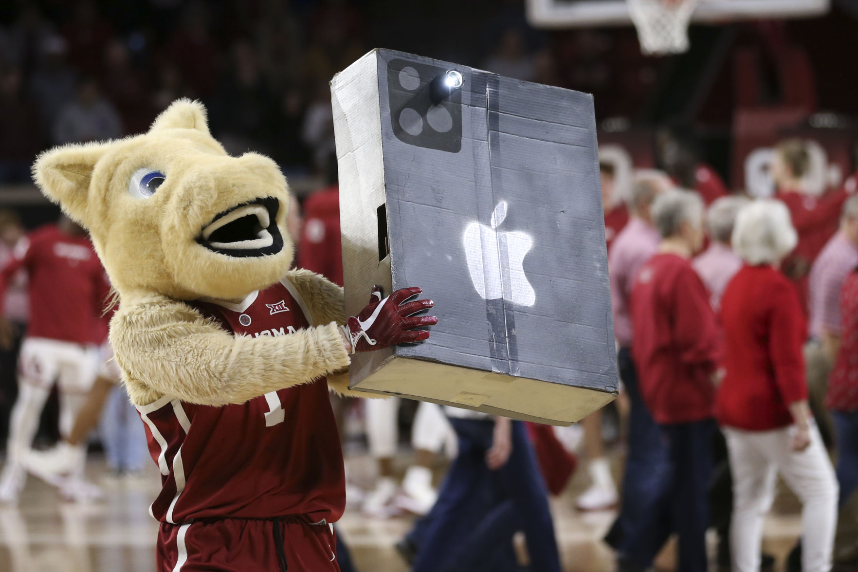 Boomer